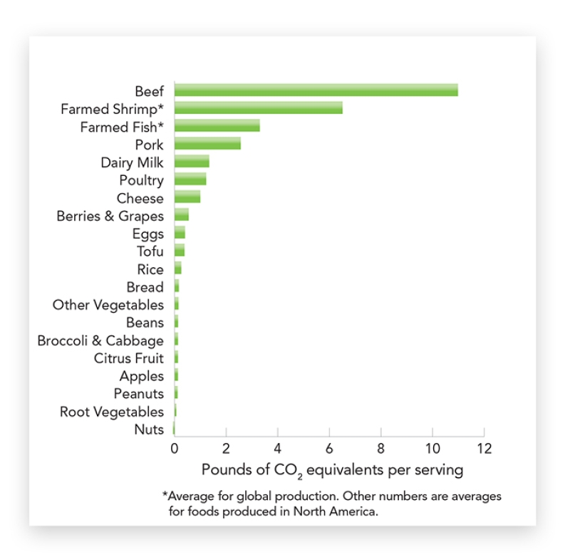 CO2 equivalents for foods