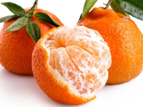 satsuma mandarins