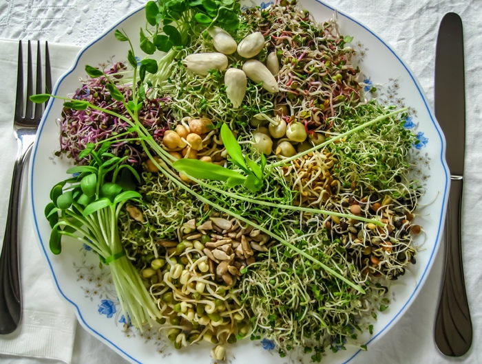 plate with vegetables including sprouts